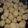 El cooksnap de Silvia cuando hizo Scones de queso 🧀.