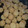 El cooksnap de Silvia cuando hizo Scones de queso 🧀.