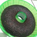 Cooksnap dari Adelia Kirana untuk resep Brownies Chocolatos