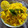 Darshana Patel's cooksnap of when they made Kanda Poha.