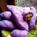 Cooksnap dari Shazmina Kitchen Diary🐥 untuk resep Korean Sweet Potato Bread(tanpa tepung ubi)
