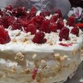El cooksnap de Macarena barrientos cuando hizo Disco de merengue, ideal para torta, más tips en la receta.