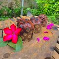 Cooksnap dari Citra Novellia untuk resep Muffin kukus coklat ala JTT bisa jd brownies