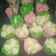 Cooksnap dari dianmaye untuk resep Bolu kukus ekonomis 1 telur