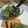 Cooksnap de Alexis Leroux sur la recette 🌿Pesto Fânes de radis
