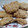 El cooksnap de Mariana cuando hizo GALLETAS INTEGRALES 🌾.