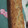 El cooksnap de natalia lopez cuando hizo Budín de banana sin huevo.