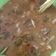 Cooksnap dari Made Winda untuk resep Tongseng ayam