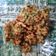 Cooksnap dari Insaning Yara untuk resep Dadar Jagung/Corn Fritter