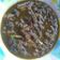 Cooksnap dari Fitria Retno Sari untuk resep Kerang bumbu sate pedas manis