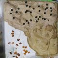 Cooksnap dari Ammuna Bsa untuk resep ice cream maks sheryl