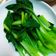 May 的 川燙青江菜 cooksnap
