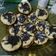 Cooksnap dari Saadah Mln untuk resep Pukis no mixer