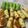Cooksnap dari Sana untuk resep Kue Pukis menul anti gagal