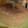 El cooksnap de fernanda pino martinez cuando hizo Mi primer bizcocho para tortas.