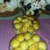 Cooksnap dari Dapur Dr.dian untuk resep Nastar keju