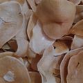 Soni joshi का कुकस्नैप जब उन्होंने आलू के चिप्स(aalo k chips recipe in hindi) बनाया था।