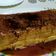 El cooksnap de 95vanedg cuando hizo Flan de galletas y canela.