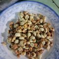 Cooksnap của Thành Đinh khi họ làm theo món Cá mao ếch xào xả ớt
