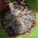 Cooksnap dari umma srii untuk resep Pizza Teflon Ekonomis 🥖🌰🍞🍕