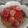 mason deez nuts's cooksnap of when they made Strawberry oatmeal.
