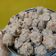 Cooksnap dari Meliana Adriana untuk resep Bakso Rambutan (Bakso Ayam Kres- Giling Blender)