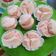 Cooksnap dari Enny Bahweres untuk resep Bolu kukus pinky