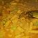 Cooksnap dari aminipriyono@gmail.com untuk resep Gulai Cumi Tahu