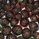 Cooksnap dari Hamidah Tri Rezki untuk resep Coklat Kacang Cup Mix Springkle #BikinRamadanBerkesan