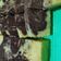 Cooksnap dari wahyu meinarti untuk resep Marble Butter Cake