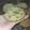El cooksnap de Maria cuando hizo Cookies tres chocolates 🍪.