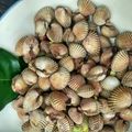 Cooksnap dari Doni Cahyadi untuk resep Kerang Dara Rebus