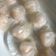 Cooksnap dari Little Dumpling untuk resep Hakau Udang