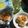 Cooksnap dari Ery untuk resep Dimsum Ayam Kukus