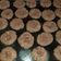 El cooksnap de Marita Labella cuando hizo Galletitas estilo levain Riquísimas Y Fáciles!.