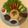 Cooksnap dari Evelyn Santoso untuk resep 29. Nasi liwet Rice cooker anti gagal