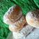 Cooksnap dari Arum Damar untuk resep Donat ala Killer Soft Bread