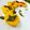 Lisha Ghosh's cooksnap of when they made ধোকলা (dhokla recipe in bengali).