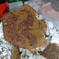 il Nunzia Marzocco quando ha preparato Fluffosa zebrata al tè macha e cioccolato
