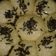 Cooksnap dari VieNovZhaa untuk resep Roti kasur kukus ekonomis (no telur) isi pisang coklat