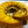 Cooksnap dari Hildanawati Chandra untuk resep Marmer cake