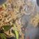 Cooksnap dari Surya_sukses Medika untuk resep Usus Ala Wartegg