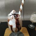 Alpa Pandya's cooksnap of when they made ચોકલેટ કોલ્ડ કોફી (Chocolate Cold Coffee Recipe In Gujarati).