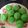 Cooksnap dari Fifika Putri untuk resep Kue Mangkok