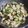 Cooksnap dari Anastasia Christa untuk resep Ayam Zucchini Tumis Sehat tanpa minyak