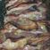 El cooksnap de Justalittlemore cuando hizo Colita de cuadril agridulce.