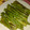 El cooksnap de Nalvar Antunez cuando hizo Espárragos a la plancha.