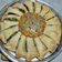 El cooksnap de Patricia Copello cuando hizo Pascualina con forma de girasol 🌻 Tarta de acelga y ricota 🌻.