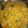 নিবেদিত দাস's cooksnap of when they made খিচুড়ি (khichuri recipe in Bengali).