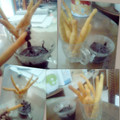 Cooksnap dari lely untuk resep Churros